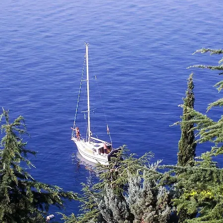 Six * Кральевица